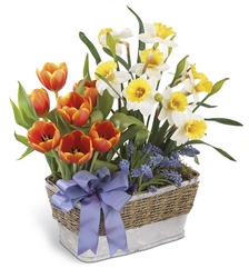Joyful Spring Planter from Visser's Florist and Greenhouses in Anaheim, CA